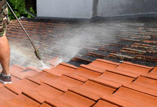 Best Local Pressure Washing Services  in Berwick, LA